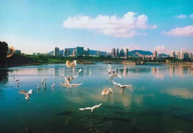 人民日報：環境有價，損害必須擔責