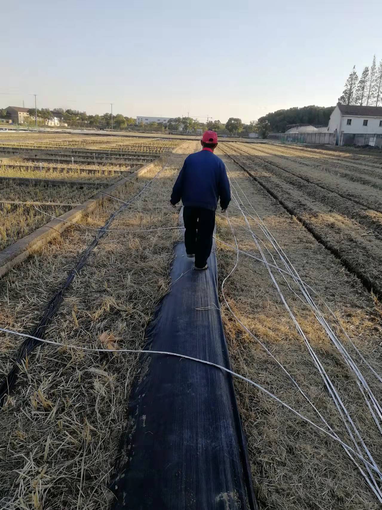 蘇州農科院之溫室氣體通量在線觀測系統